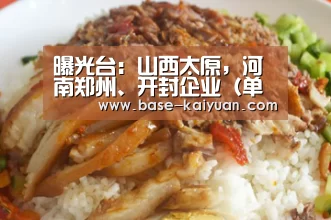 开云体育在线登录